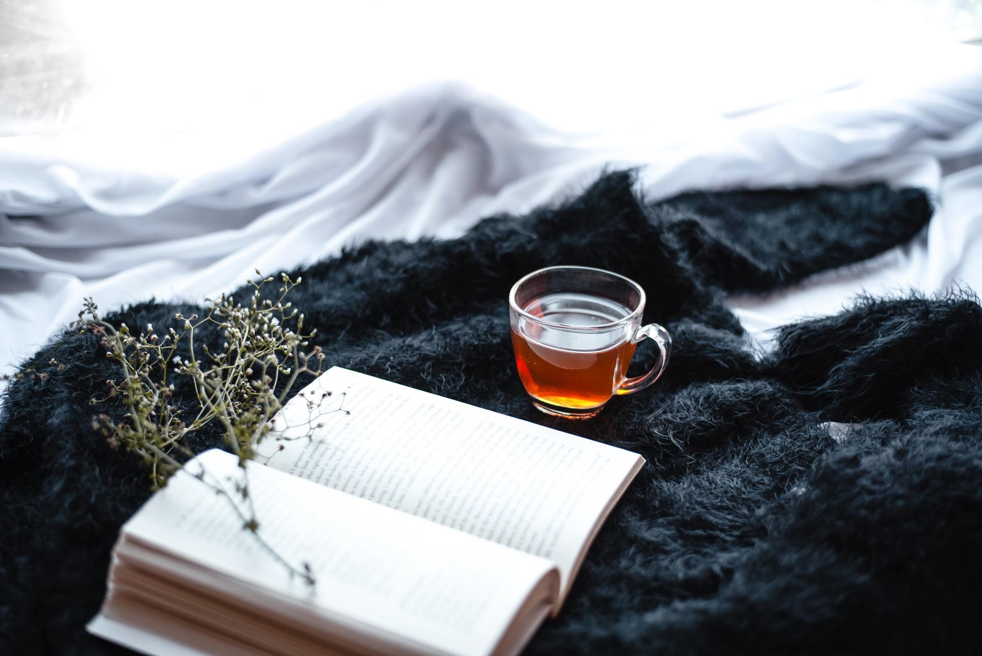 Bedtime routine flat lay journal herbal tea.
