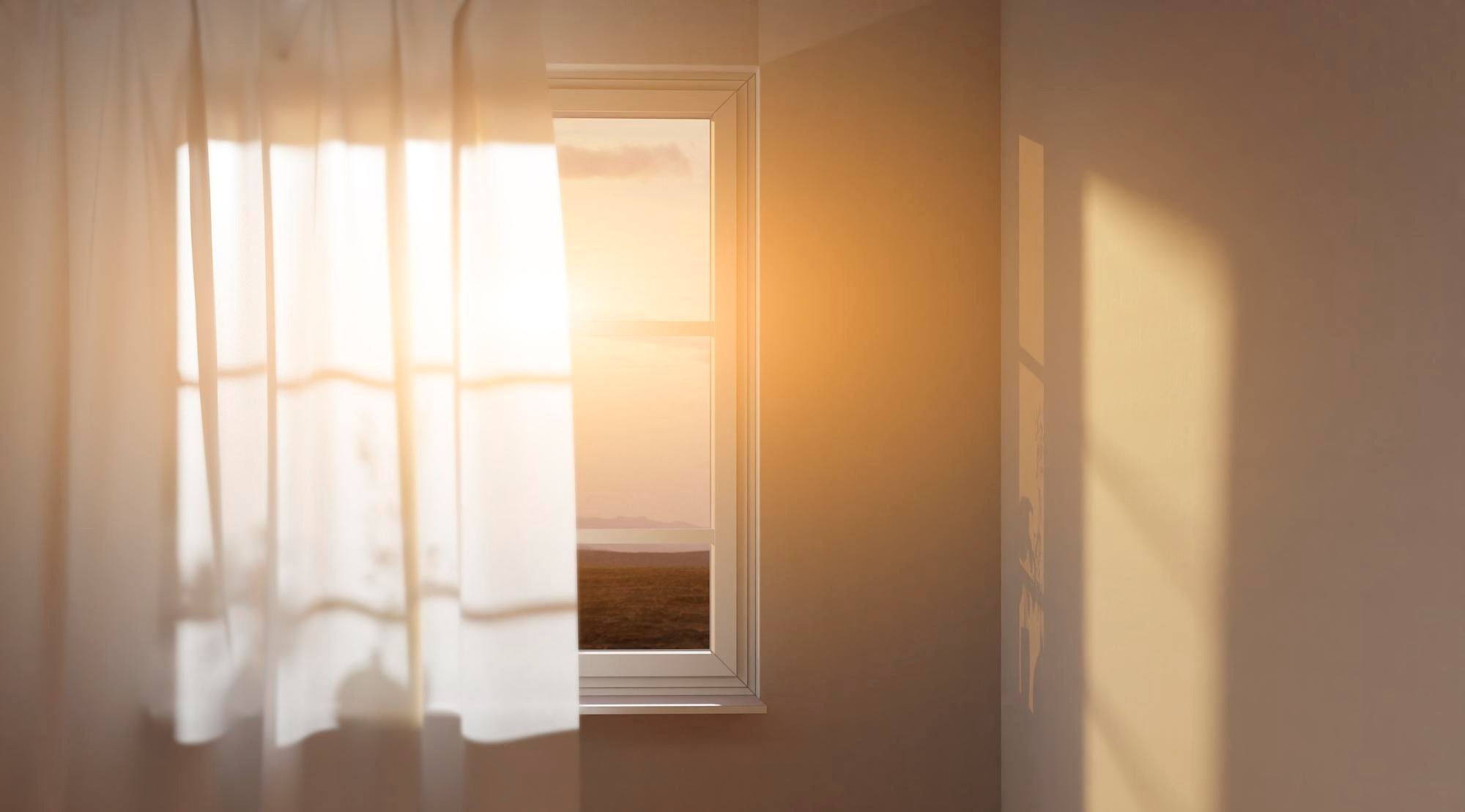 morning light home.